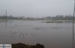 ������������ �� �������� � ������� ��������� ����� 6 ��������� 