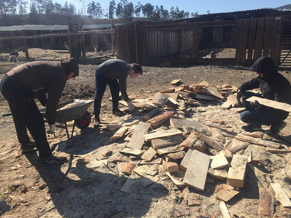 � ������� �������� ������ � �������� ������� ������ ��� �������� 