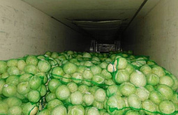 20 ���� ������� ������ � ������� � ���������� 