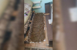 ����-������ ������ 5 �� ��������� ��� ������� 