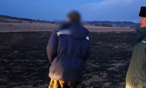 ������ ���������� ������� ����� �� 50 �������� 