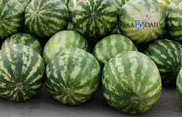 � ������� ������� ��������� ��� ����� ����� 300 ���� ���� � ������� 