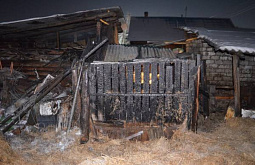 � ��������� ������� ���� ���������� ������� ����� � ����� � ����� 