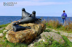 � ����������� ����������� �������� �������� ����