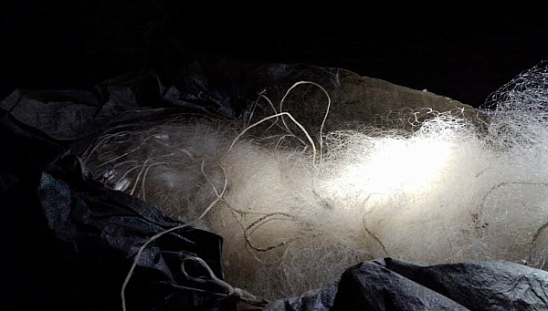 � ������� ������������ ������ � ������������ �� �������