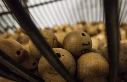 � ������� ����������� �������� � ������� 700 ����� 