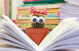 � ������� ����������� ������� ������������