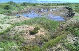 � ������� ���������� ���������� ������ ������