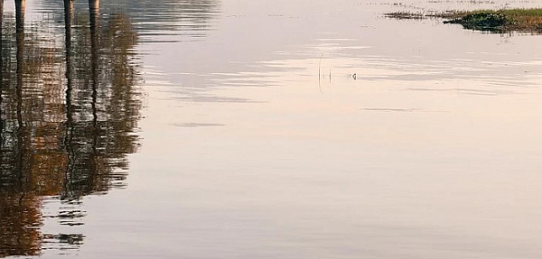 � ��������� ����-��� ��������� ������ �������� ���������� ����  