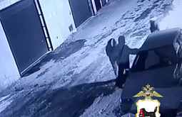 ���� ������ �� ��������� ������� ������� ����� �������