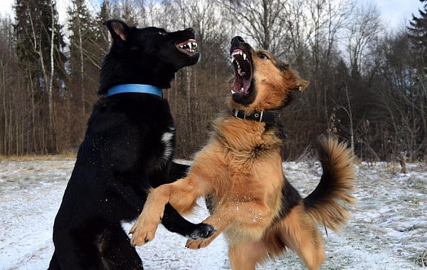 � ������� ���������� ������� ����� ����� 