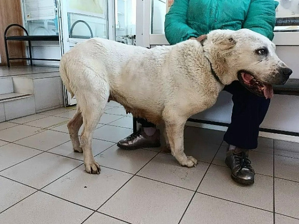 � ���������� � ������ ���������� ������� ����� 2,5 ��