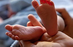 ����������������� �� �������� ������ ����� �������� ������� ������