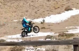 � �������� ����������� ��������� ��������� �������������