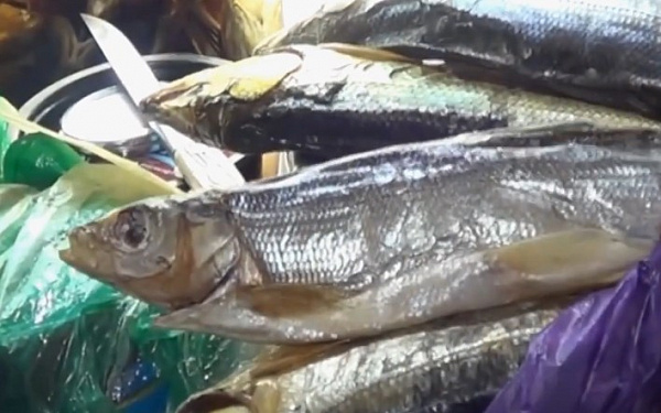 В Бурятии браконьер ударил инспектора рыбоохраны