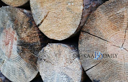 �� ������ ������� �������� ������� � ���������� ��� ����� �� 6 ��� ������ 