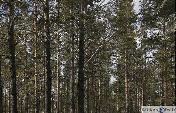 ������������� � ���� � ����-��� ������� ������� ���� 