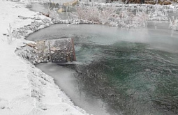 � ������ ������� �������� ����� ������