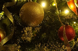 14 ������� ������� ��������� � ����-��� 