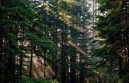 ������ � ������ ������ ������������� ������� �������� ����� ��������� � ��������� �������