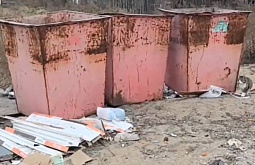 Жителей Улан-Удэ замучили крысы у мусорных баков