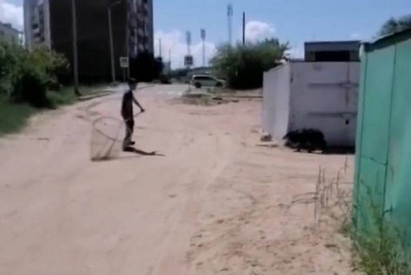 ����� ����� � ����-��� ����� ����������� � ��������� �����