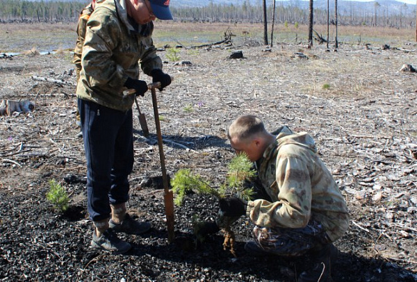 � ������� � ��������� �� ������� �������� ����� � ����� 