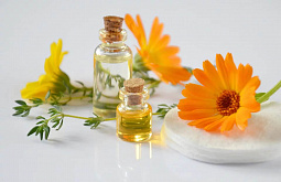 � ������� �������� �������� �������������� ���������������