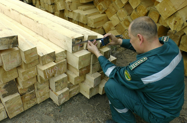 ������� �������������� ���� �� 14 ��������� �������� 