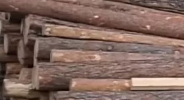 � ������� ������������������� �������� �������� ���� �� ����������� ���� 