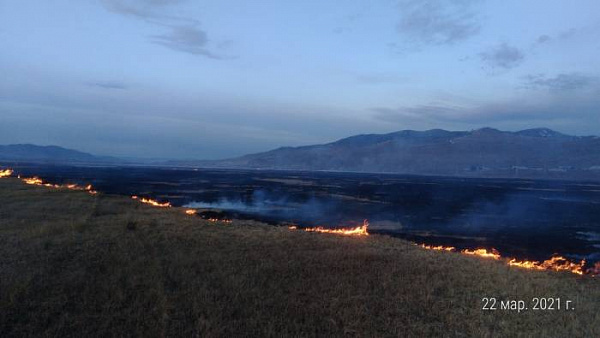 � ������� ��������� ����� ������� ����� 