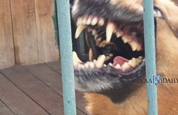 � ������� ������� ������ �� ���������� ����������� �� ������ 