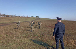 В Иркутской области уничтожили поле дикорастущей конопли