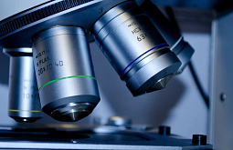 ������ ������� ����� ����� ������� ������ �� �����������