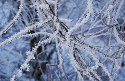 � ����-��� ���������, ��� ����� ������������ ���������� ����� 