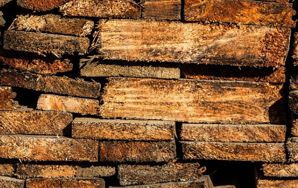 � �������������� ����-�������� ����������� ����� ����������