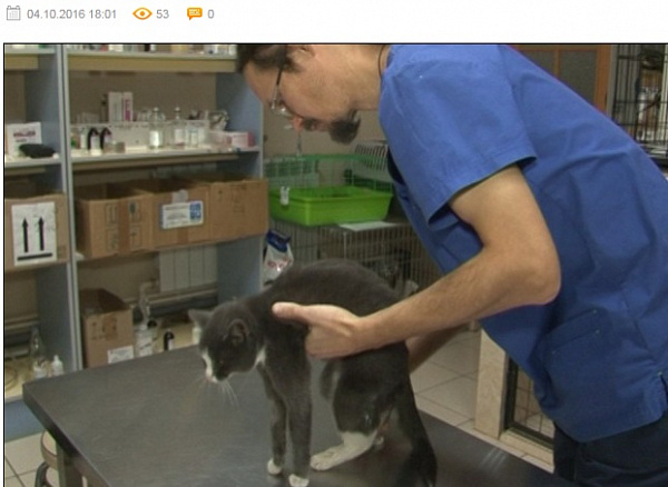 � ����-��� ����������� �������� ����� �� ����������