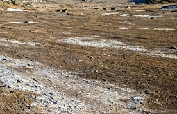 � ������� �� ����� ����� ������ �������� �������� ������������� 