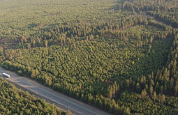 � ���������� ��������� ������� ������ ������������ � ����������� �������