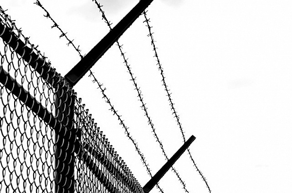 ������ ������� �� ����� ����� ���� �������