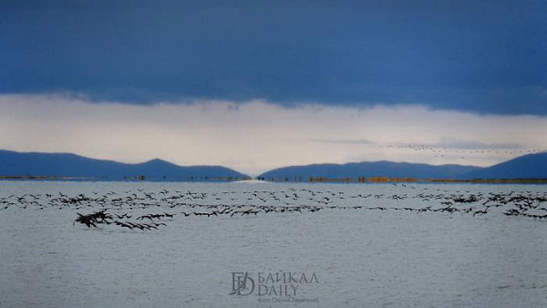 ������� ����� ������ �������� ����� ��������