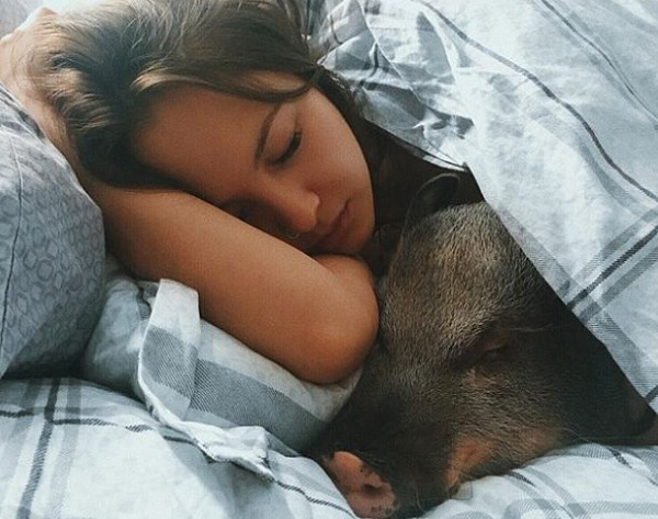 � ��������� ������� �� ������� ��� ��� ���� ���� ���������� ������ 