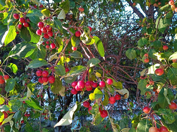 ������ � ������� ������� �� ���������� 