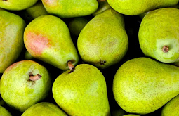 � ������� ��������������� �� ��������� � ��������� �������