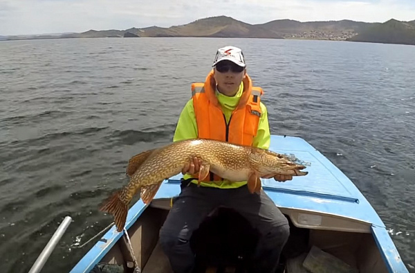 ������ ������ �� ������� ���� ����� � 8 ��