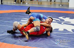 Девять борцов представят Бурятию на Кубке России