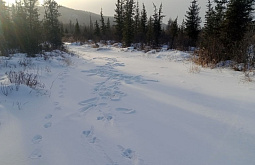 � ���������� ���������� ������� ����������� ����� ��������