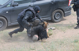 ����-�������� �������: � ������� ������ ������ 