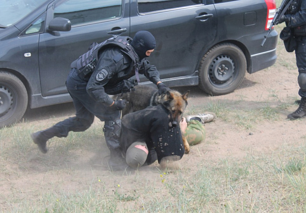 ����-�������� �������: � ������� ������ ������ 