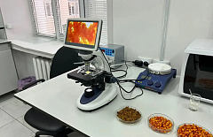 ��������� ������ ������� ����� ����� ��������, ������ ��������� � ���������